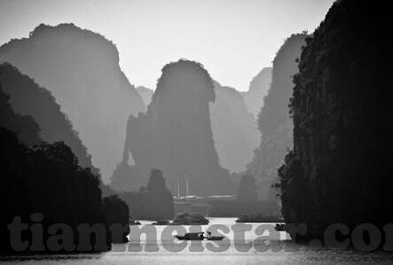 麻豆视频新网址-麻豆视频新网站，尽在探索与创新的无尽旅程